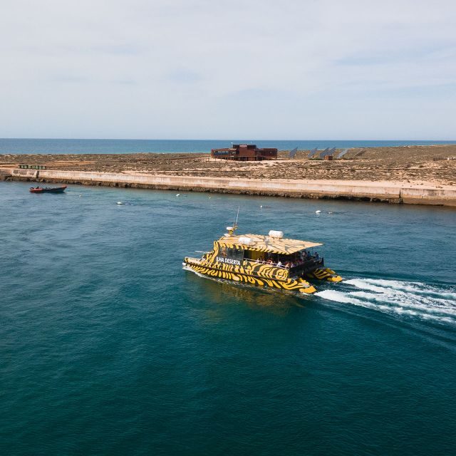 From Faro: Catamaran Boat Trip to Deserta Island with Stop - Faro to Ilha Deserta on a catamaran: the real point of the trip
