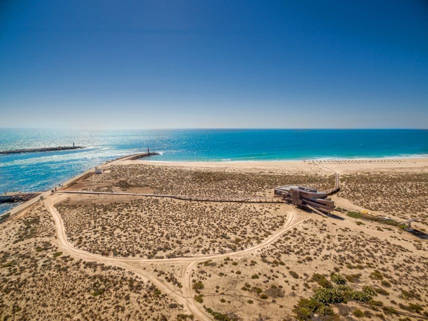 From Faro: Catamaran Boat Trip to Deserta Island with Stop - Ilha Deserta: how to use your free time on the boardwalk and beach
