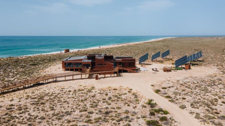 From Faro: Catamaran Boat Trip to Deserta Island with Stop - Cruising Ria Formosa Natural Park: seabirds, channels, and decent commentary