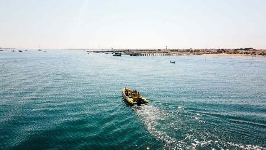 From Faro: Ria Formosa Hop-On Hop-Off 3 Islands Cruise - Getting On the Water at Cais da Porta Nova (and Staying Flexible)