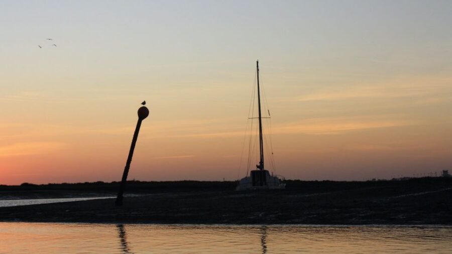 From Faro: Ria Formosa Sunset Boat Trip - Who this is best for (and who should think twice)