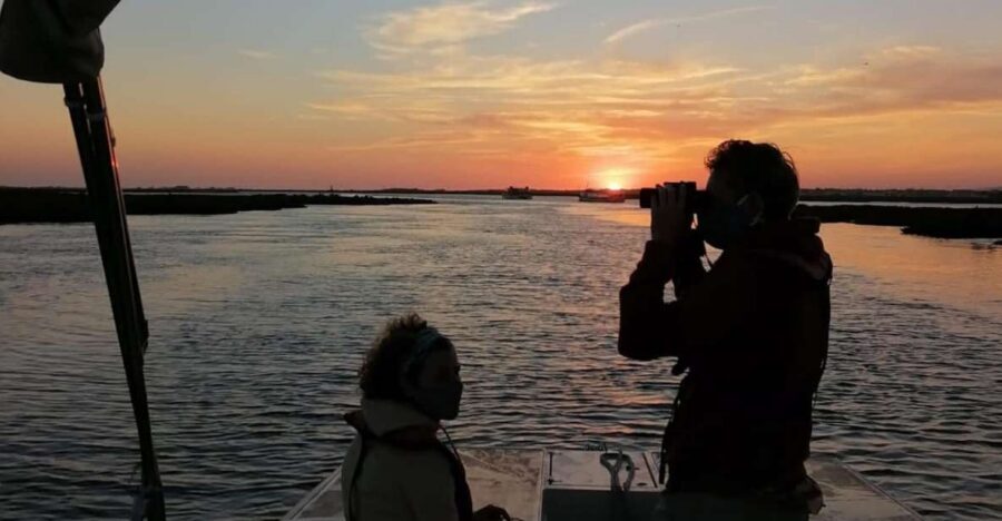 From Faro: Ria Formosa Sunset Boat Trip - The solar-powered boat is the real upgrade