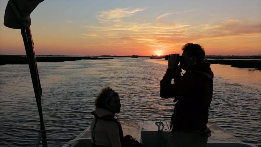 From Faro: Ria Formosa Sunset Boat Trip - Price and value: $35 for a calm, guided sunset