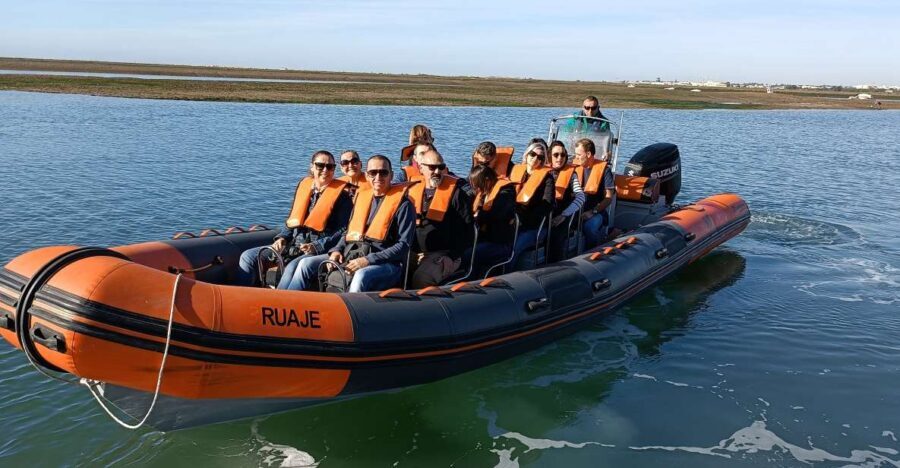 From Faro: Wildlife and Dolphin-Watching Speedboat Tour - Dolphin-watching zone: the best chance you get for the least time
