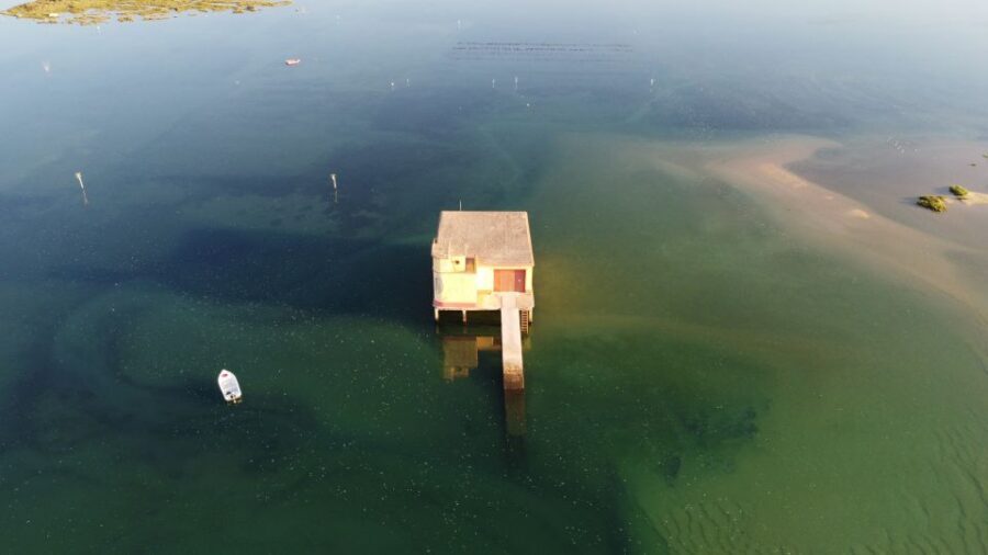 From Fuzeta: 2-Hour Southeast Ria Formosa Boat Trip - Should You Book This Fuzeta Boat Trip?