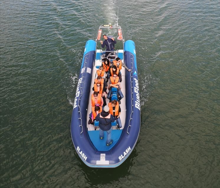 From Lagos: Dolphin Watching Boat Trip w/Marine Biologists - The Marine Biologists: What They Tell You and Why It Matters