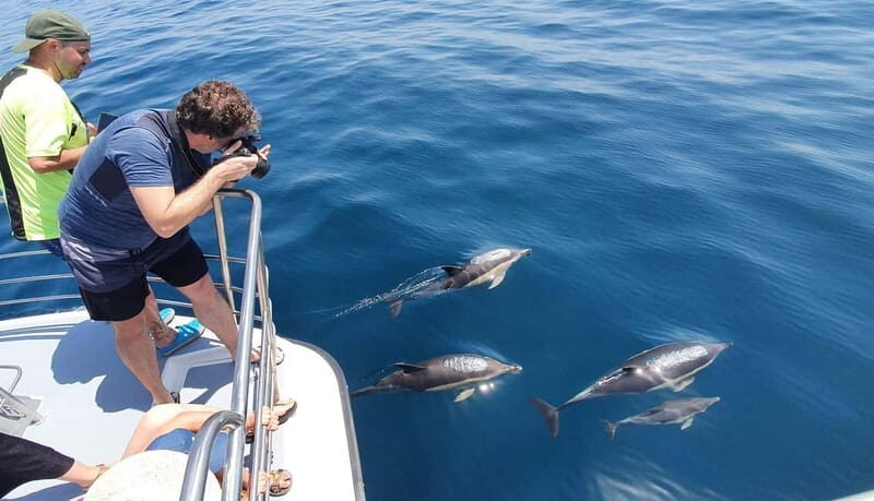 From Lagos: Dolphin Watching Catamaran Cruise - Benagil Cave Area Stops: How Tides Change the Experience