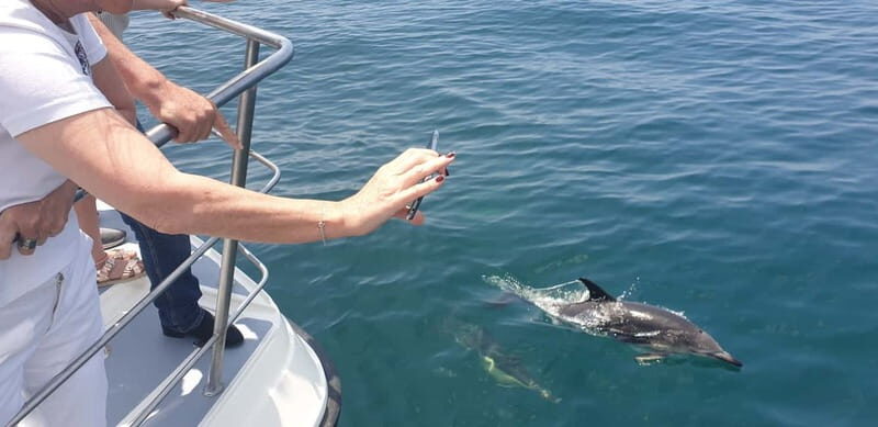 From Lagos: Dolphin Watching Catamaran Cruise - Price and Value: Is $38 a Fair Deal for This 1.5-Hour Trip?
