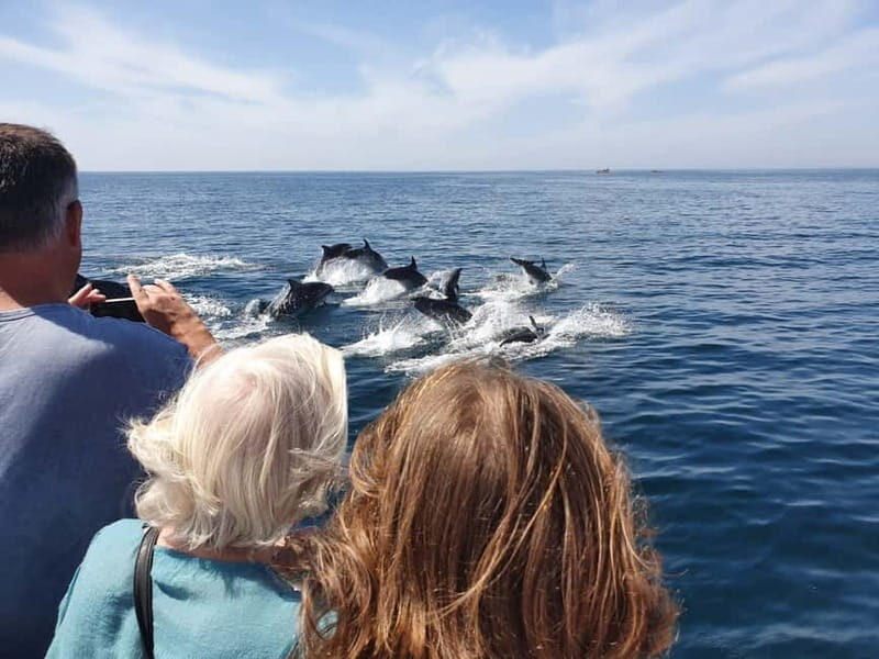 From Lagos: Dolphin Watching Catamaran Cruise - Who Should Book This Cruise—and Who Might Skip It