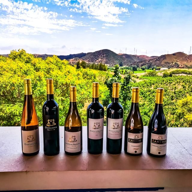 From Lagos: Small-Group 4-Hour Wine Tasting Tour - Key things I’d circle on your plan