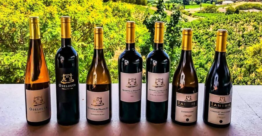 From Lagos: Small-Group 4-Hour Wine Tasting Tour - Silves on your terms: 45 minutes in an ancient Moorish town