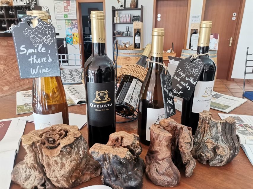 From Lagos: Small-Group 4-Hour Wine Tasting Tour - The winery portion: where the tour earns its keep