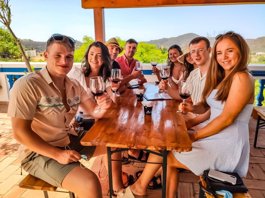 From Lagos: Small-Group 4-Hour Wine Tasting Tour - Who should book this tour (and who might want a different one)