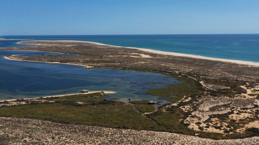 From Olhão: Ria Formosa 3-Island Full-Day Tour - Why the Ria Formosa trip feels different from typical Algarve days