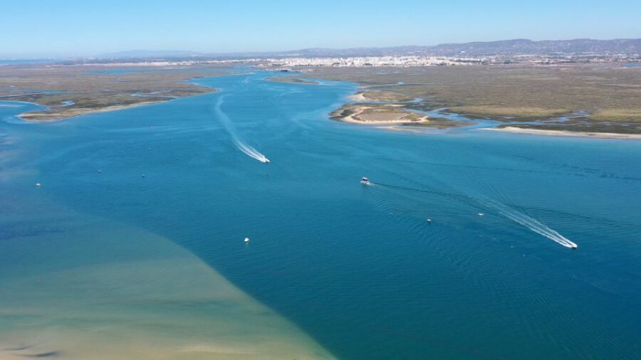 From Olhão: Ria Formosa 3-Island Full-Day Tour - Armona Island: the calm walk and the year-round island vibe