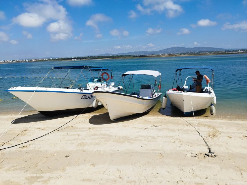 From Olhão: Ria Formosa 3-Island Full-Day Tour - Ilha do Farol (Lighthouse Island): neighborhoods, a drink stop, and possible swim time