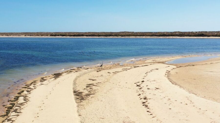 From Olhão: Ria Formosa 3-Island Full-Day Tour - Deserted beach vs. Armona swap: how weather changes the day