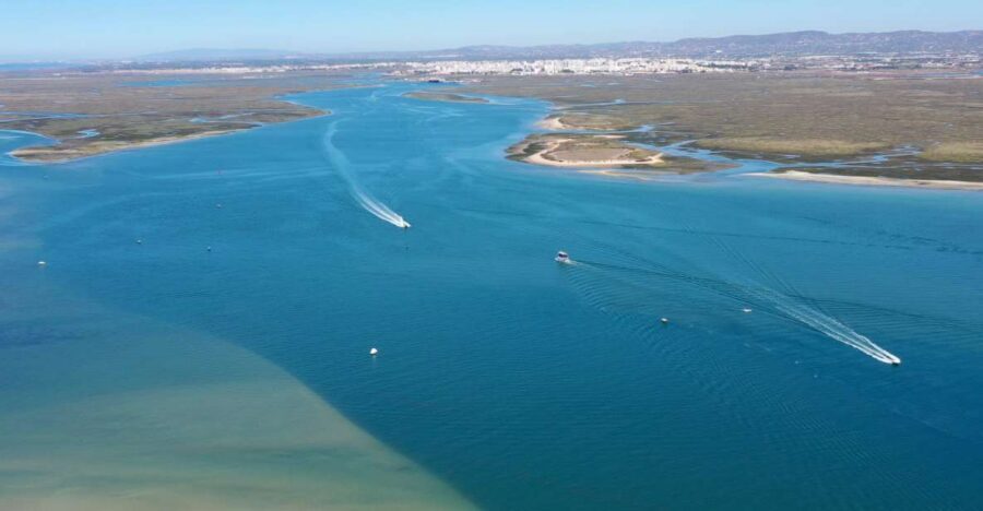 From Olhão: Ria Formosa 3-Island Full-Day Tour - Olhão departure, the small-group setup, and how the 5–5.5 hours flow