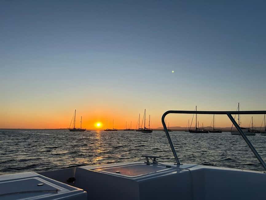 From Olhão: Ria Formosa Sunset Island Tour - What the Guides Actually Add (and Why It Matters)
