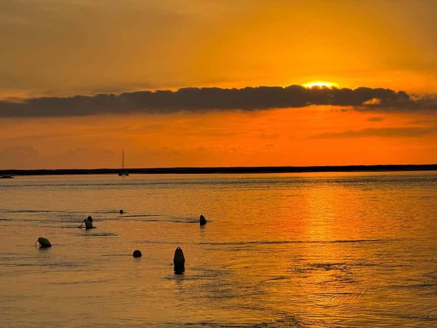 From Olhão: Ria Formosa Sunset Island Tour - Group Size, Comfort, and the Shared vs Private Choice