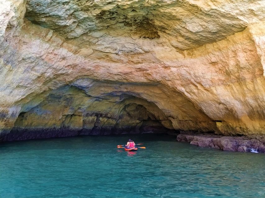 From Vilamoura: 2.5-Hour Benagil Cave and Dolphins Boat Tour - Dolphins: How the Crew Turns the Search Into a Real Moment