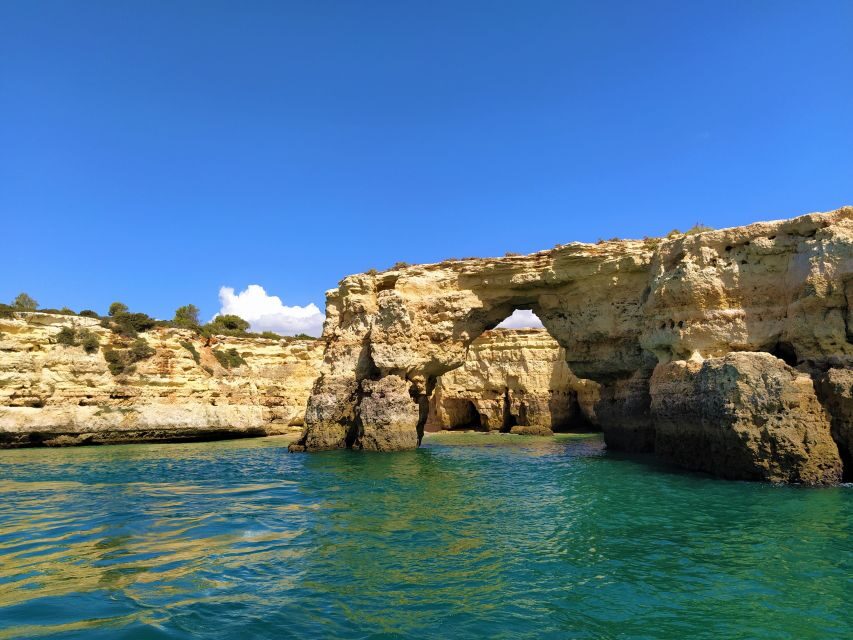 From Vilamoura: 2.5-Hour Benagil Cave and Dolphins Boat Tour - Should You Book This Benagil Caves and Dolphins Tour?