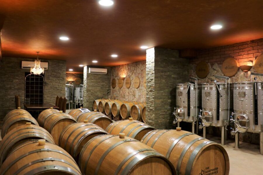 Lagoa: Guided Winery Tour and Local Wine Tasting - The guide experience: why Joao’s style gets praised