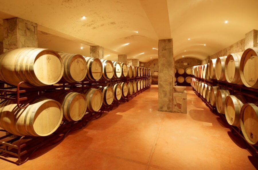 Lagoa: Guided Winery Tour and Local Wine Tasting - Behind-the-scenes winemaking: winery tour and the barrel cellar