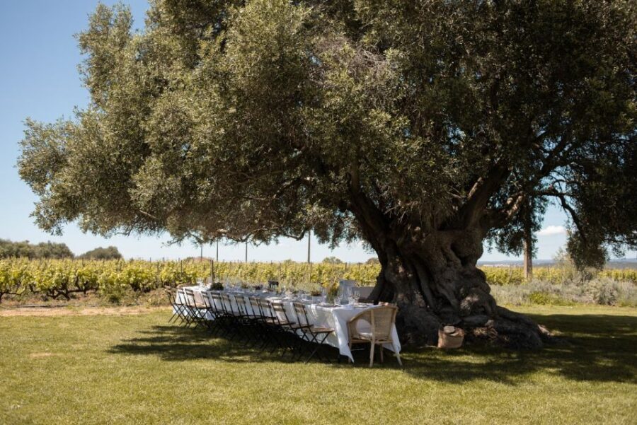 Lagoa: Morgado do Quintão Estate Lunch and Wine Tasting - Key Points Before You Go