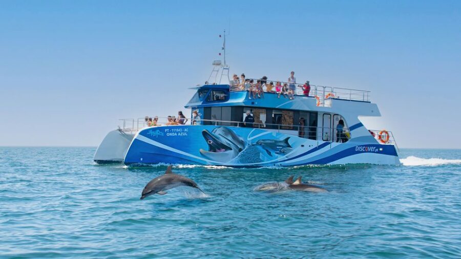 Lagos: Dolphins & Caves - Catamaran - Dolphins first: what the 2.5-hour catamaran time feels like