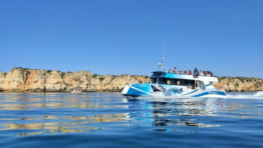 Lagos: Dolphins & Caves - Catamaran - Marine biologist commentary: what you actually learn while watching