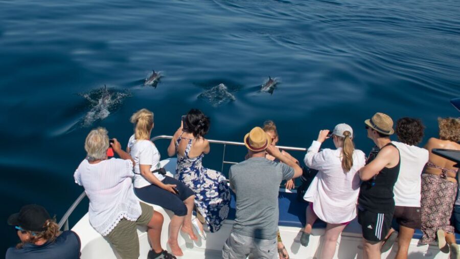 Lagos: Dolphins & Caves - Catamaran - Algarve Coast views and the “Caves” part of the name