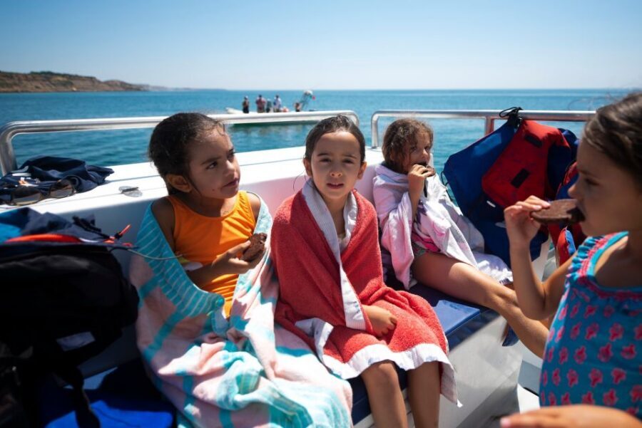 Lagos: Dolphins & Caves - Catamaran - Tips to improve your odds (and make the swim stop easier)
