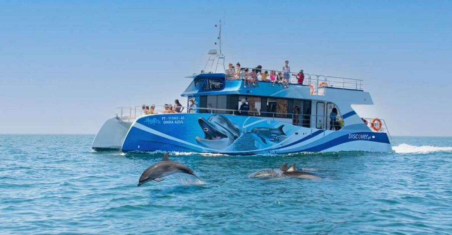 Lagos: Dolphins & Caves - Catamaran - From Marina de Lagos to dolphin spotting: how you’ll spend your time