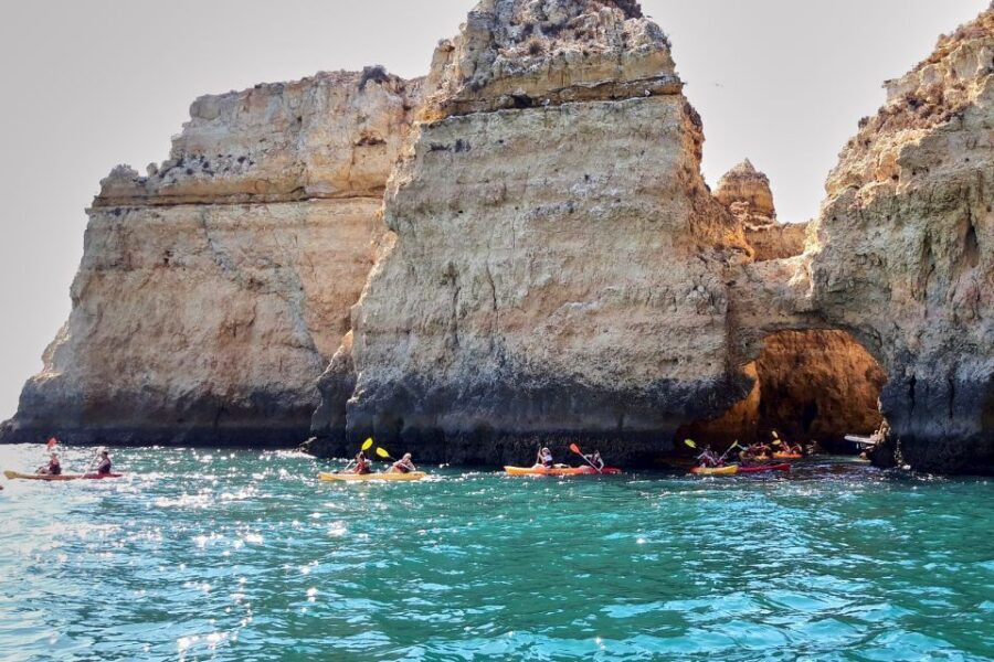 Lagos: Guided Kayak Tour - Price and What You’re Actually Getting for $40