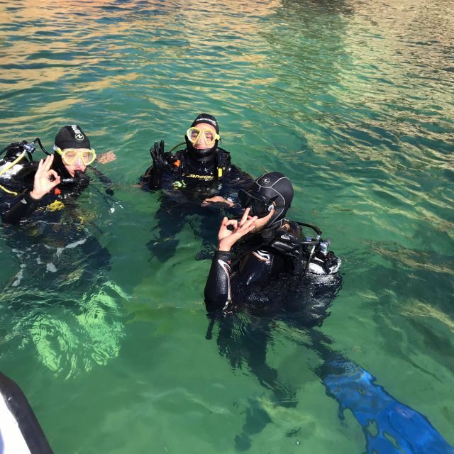 Lagos: Guided Scuba Diving Trip for Beginners - When Water Clarity Changes: Murky Days vs Good Visibility