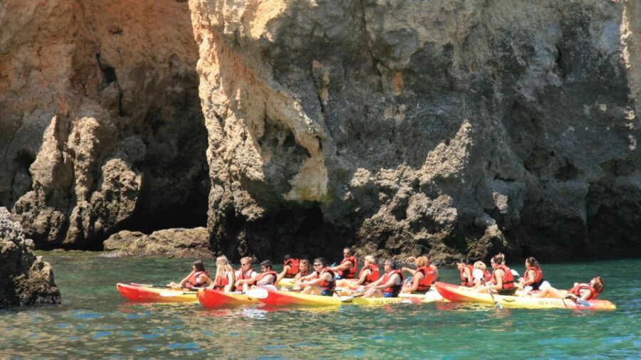 Lagos: Kayaking Tour - Should You Book This Lagos Kayaking Tour?