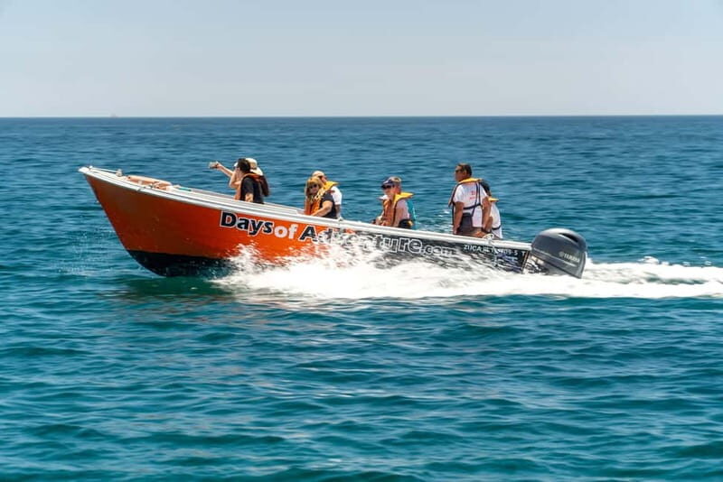Lagos: Ponta da Piedade Caves Boat Tour - Safety and the captain’s skill when the sea gets rough