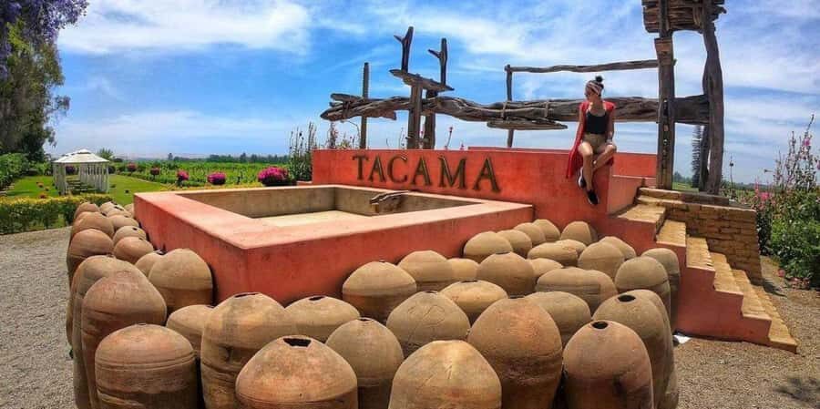 Lagos/Praia da Luz: Wine Tour, Tastings, Tapas, and Music - Tasting the Algarve: four wines matched with four tapas