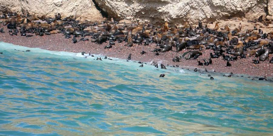 Lagos/Praia da Luz: Wine Tour, Tastings, Tapas, and Music - Transport options from Lagos and Praia da Luz