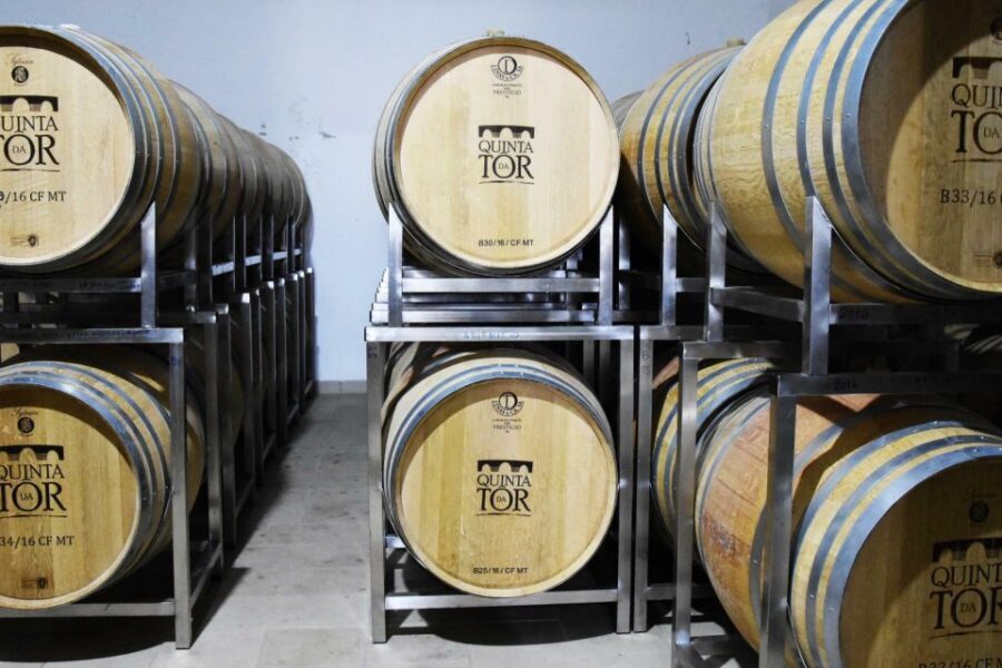 Loulé: Quinta da Tôr Winery Guided Tour and Wine Tasting - Wine tasting for 1.5 hours: four wines, bread, and olive oil