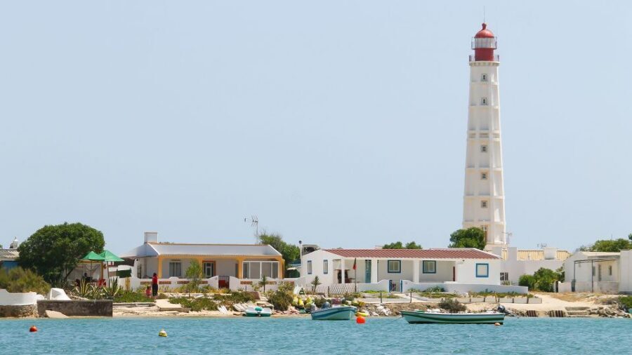 Olhão: 4-Hour Ria Formosa Islands Tour - Timing tips: tides and seat choices that affect what you see