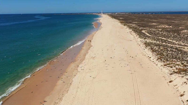 Olhão: Ria Formosa National Park Boat Cruise - Shared cruise vs private cruise: choosing the right vibe