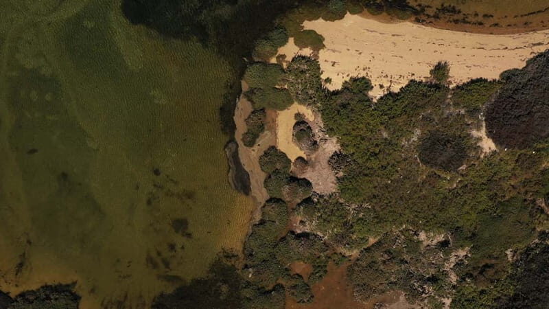 Olhão: Ria Formosa National Park Boat Cruise - Price and value: is about $34 actually fair?