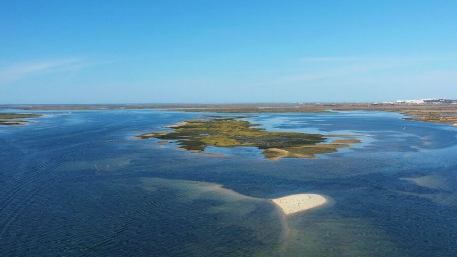 Olhão: Ria Formosa National Park Boat Cruise - What to bring (and what to leave at home) for a comfy 3 hours