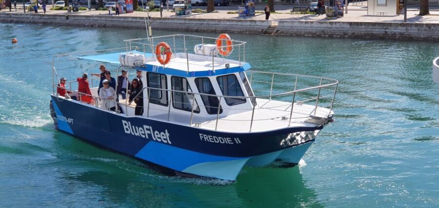 Ponta da Piedade: Half-Day Cruise with Lunch from Lagos - The Swim Stop Near Lagos or Alvor: Best-Case Atlantic