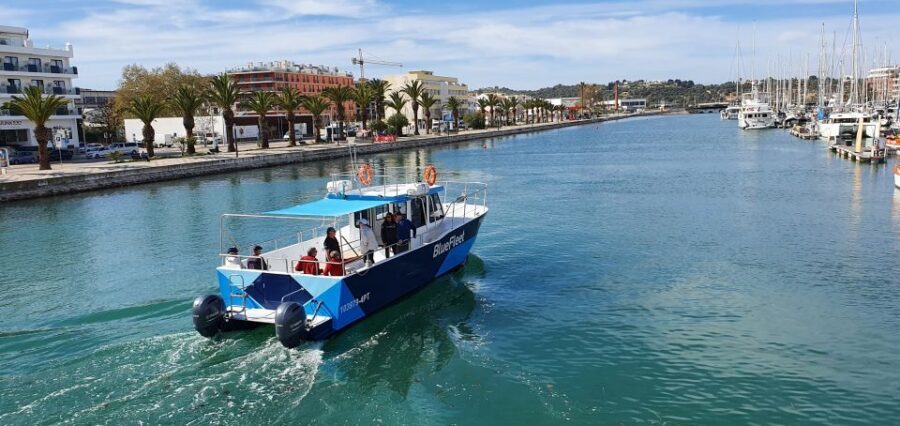 Ponta da Piedade: Half-Day Cruise with Lunch from Lagos - Lunch Onboard: Portuguese Comfort Food With Drinks Included