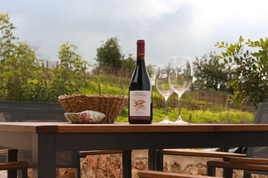 Porches: Algarve Vineyard Tour and Wine Tasting Experience - Should you book Porches: Algarve Vineyard Tour and Wine Tasting?