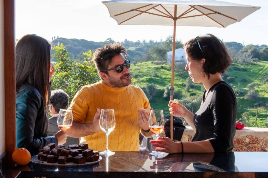 Porches: Algarve Vineyard Tour and Wine Tasting Experience - Tapas pairing at Quinta dos Capinhas: what you should expect from the food