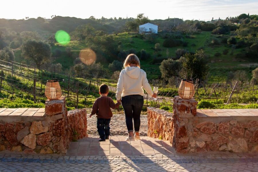 Porches: Algarve Vineyard Tour and Wine Tasting Experience - Views and photos: why the vineyard walk is more than a stretch